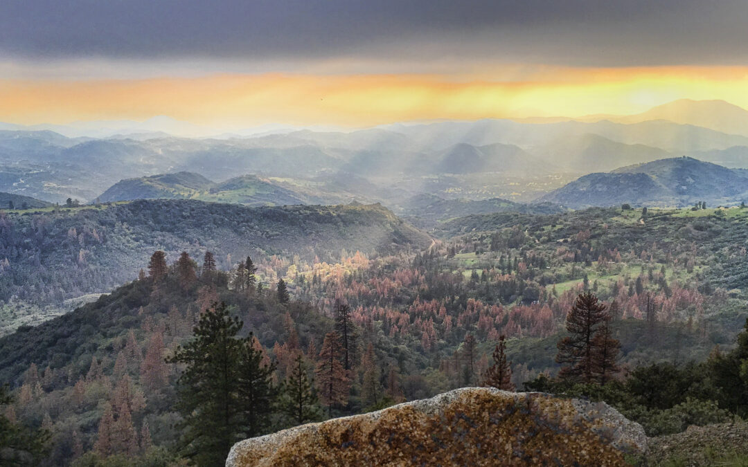 355: The Secret to Better Photos? It’s All About Light