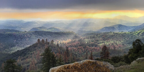 355: The Secret to Better Photos? It’s All About Light Luci Dumas Profitable Photographer